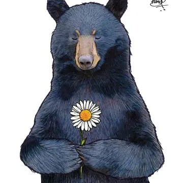 Shawn Braley Beary Sorry