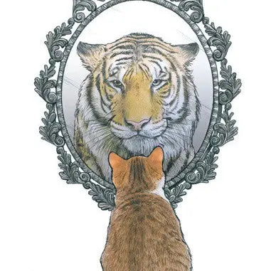 Shawn Braley Purrception Card