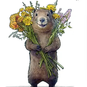 Shawn Braley Wild Smile Card