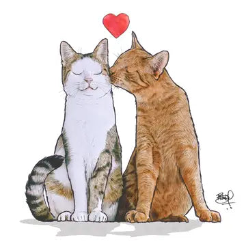 Shawn Braley Live Love Purr