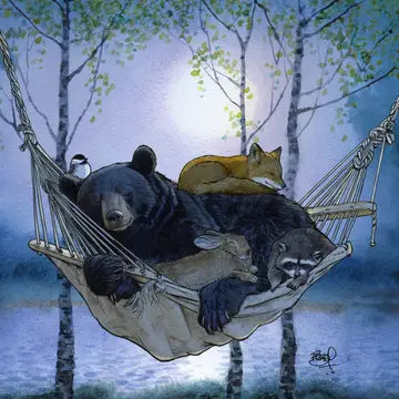 Shawn Braley Nighty Night Card