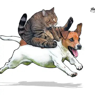 Shawn Braley Giddyup Card