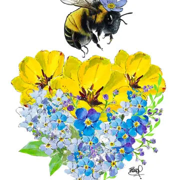 Shawn Braley Forget Me Not
