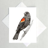 Greeting Cards by Local Artist Paul Kmiotek