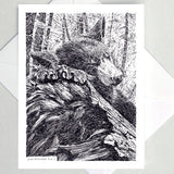 Greeting Cards by Local Artist Paul Kmiotek
