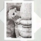 Greeting Cards by Local Artist Paul Kmiotek