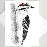 Greeting Cards by Local Artist Paul Kmiotek