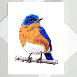 Greeting Cards by Local Artist Paul Kmiotek