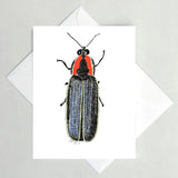 Greeting Cards by Local Artist Paul Kmiotek