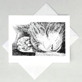 Greeting Cards by Local Artist Paul Kmiotek