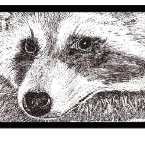Greeting Cards by Local Artist Paul Kmiotek