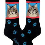 Locally Designed Sabyloo Dog and Cat Breed Socks