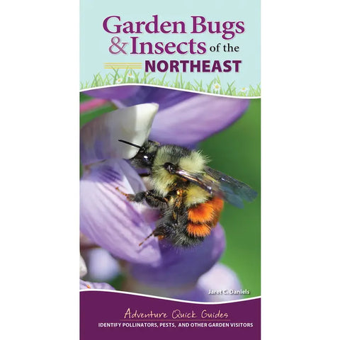 Garden Bugs and Insects of the Northeast