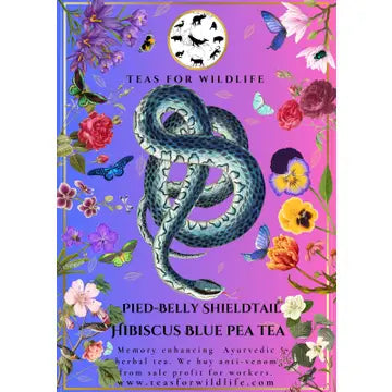 Teas for Wildlife Pied Belly Sheildtail Blue Pea Hibiscus Citrus Tea