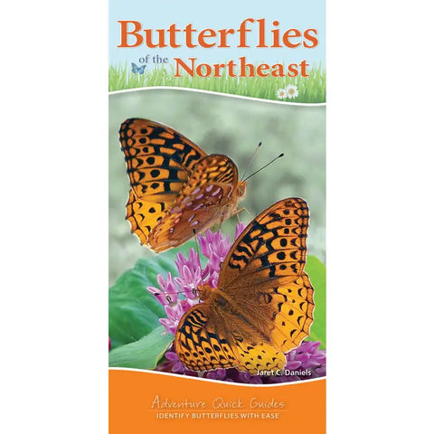 Butterflies of the Northeast Quick Guide