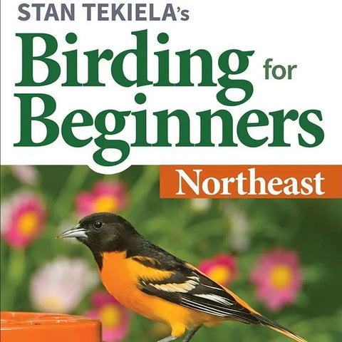 Birding for Beginners