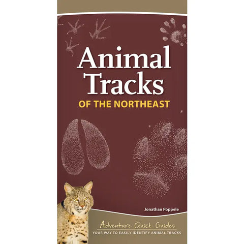 Animal Tracks Quick Guide