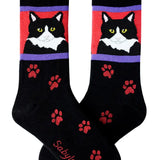 Locally Designed Sabyloo Dog and Cat Breed Socks