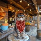 Western Kiko Kitty Prop Kit