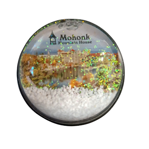 Snowglobe Magnet