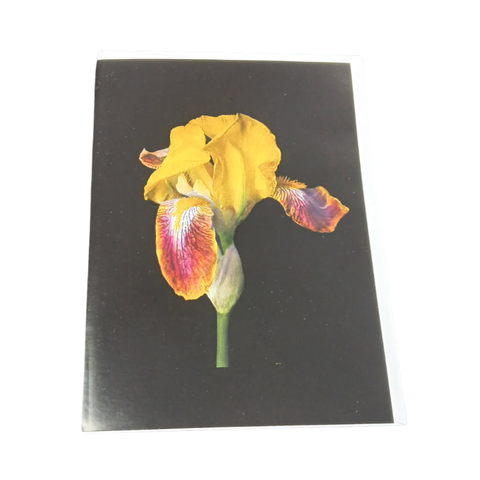 Mohonk Flower Lantern Slide Greeting Cards