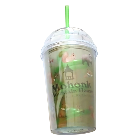 Kid's Acrylic Swirly Straw Water Bottle