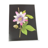 Mohonk Flower Lantern Slide Greeting Cards