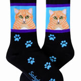 Locally Designed Sabyloo Dog and Cat Breed Socks