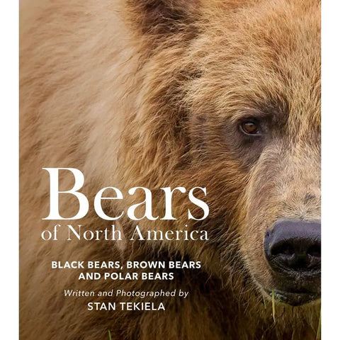 Bears of North America