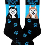 Locally Designed Sabyloo Dog and Cat Breed Socks