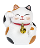 Lucky Cat Pocket Token