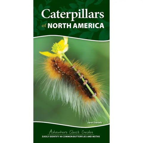 Caterpillar Quick Guide