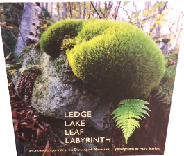 Ledge Leaf Lake Labyrinth by Nora Scarlett