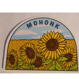 Mohonk Vinyl Sticker, Tons of Styles!