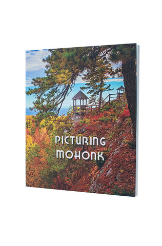 Picturing Mohonk
